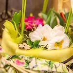 Waldhof פלאטלאך