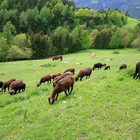 Waldhof Alpstuga Flattach