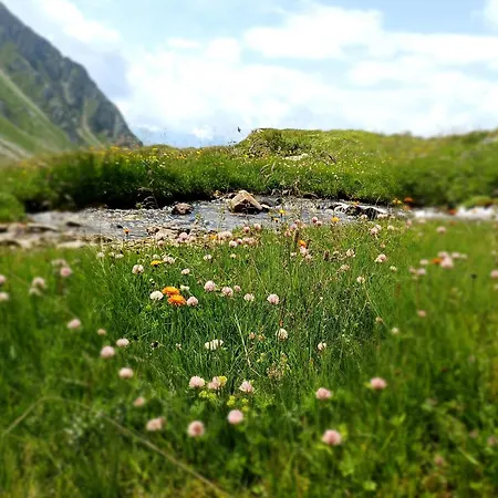 Alpstuga Waldhof