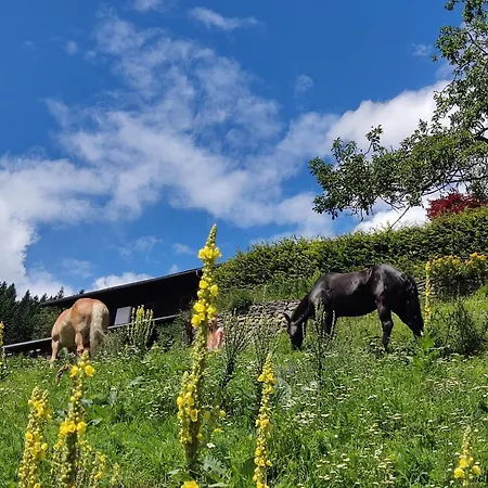 Waldhof 弗拉塔克