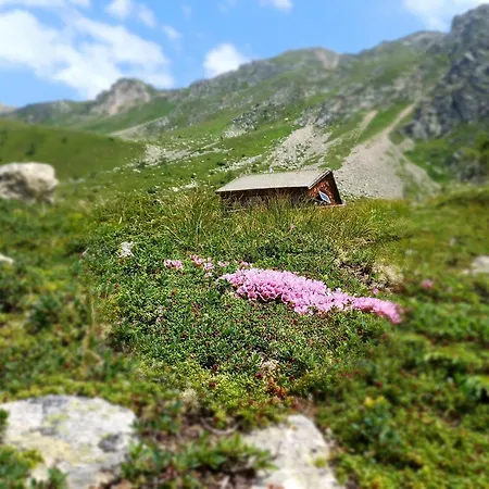 Waldhof 弗拉塔克