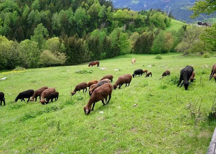 Waldhof シャレー フラタッハ