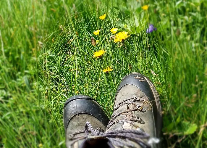 シャレー Waldhof *