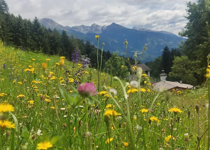 Waldhof בקתה פלאטלאך