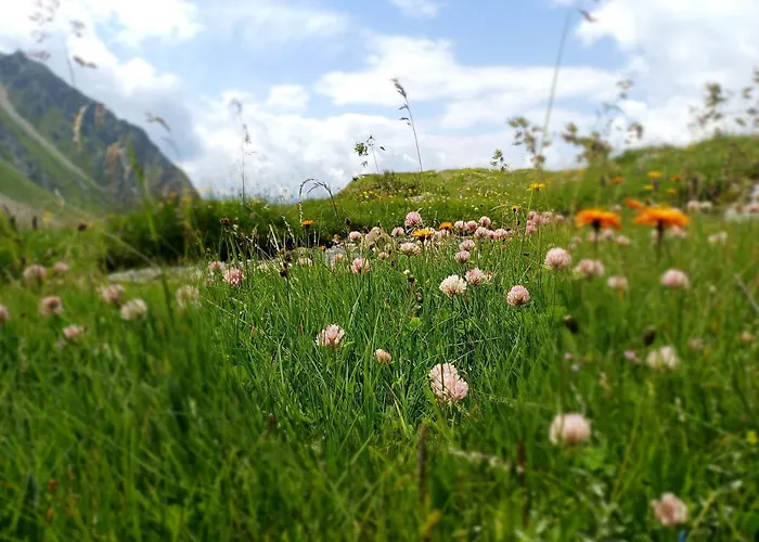 Waldhof פלאטלאך