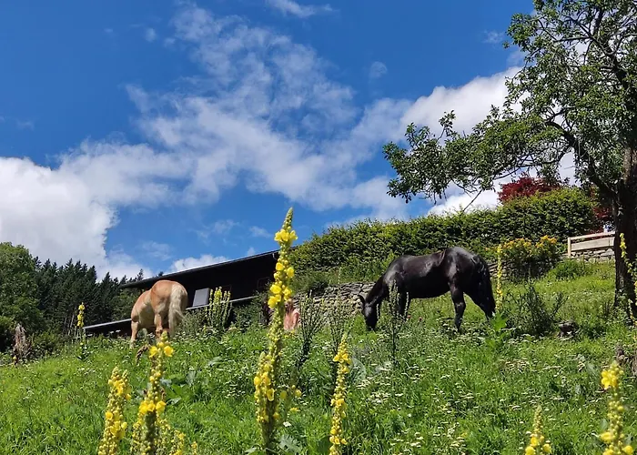 Waldhof פלאטלאך