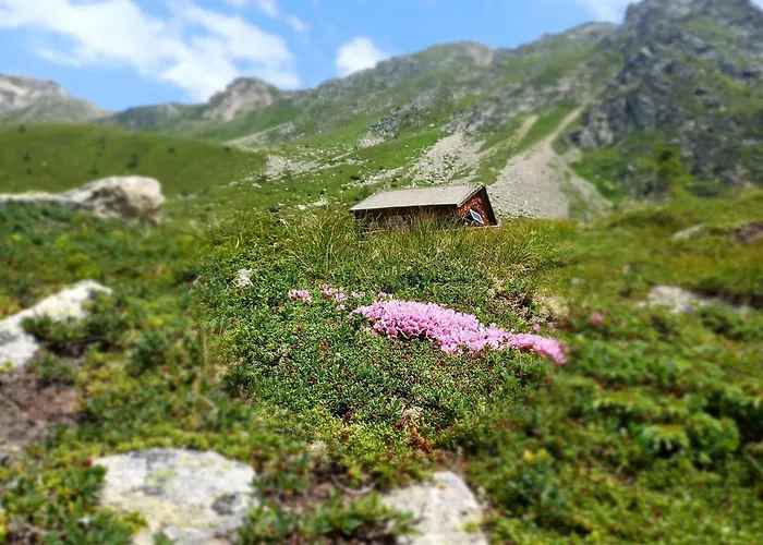 Waldhof פלאטלאך